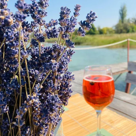 Toparti Apartmanhaz بالاتونسزارسكو