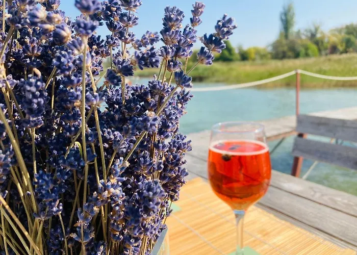 Toparti Apartmanhaz بالاتونسزارسكو