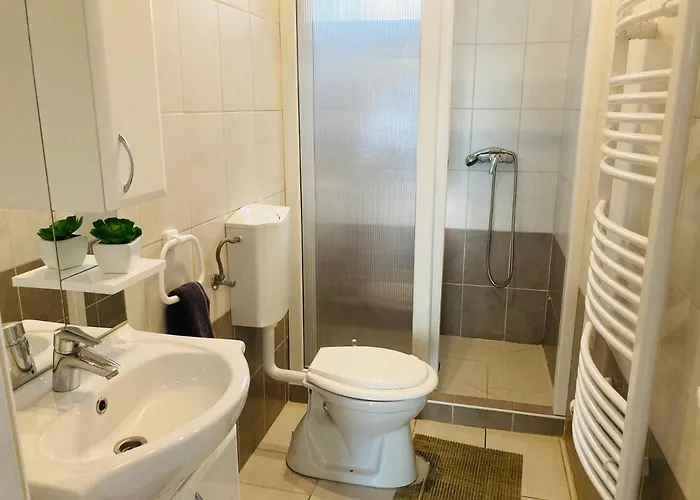 Toparti Apartmanhaz * بالاتونسزارسكو