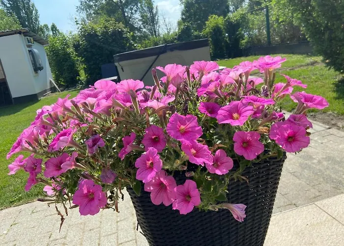 Toparti Apartmanhaz شقة *